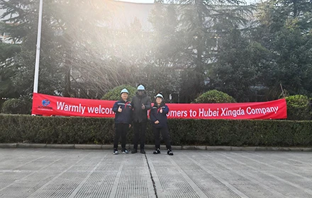 Damos una calurosa bienvenida a los clientes del sur de Asia para que visiten nuestra f&aacute;brica para negociar negocios
